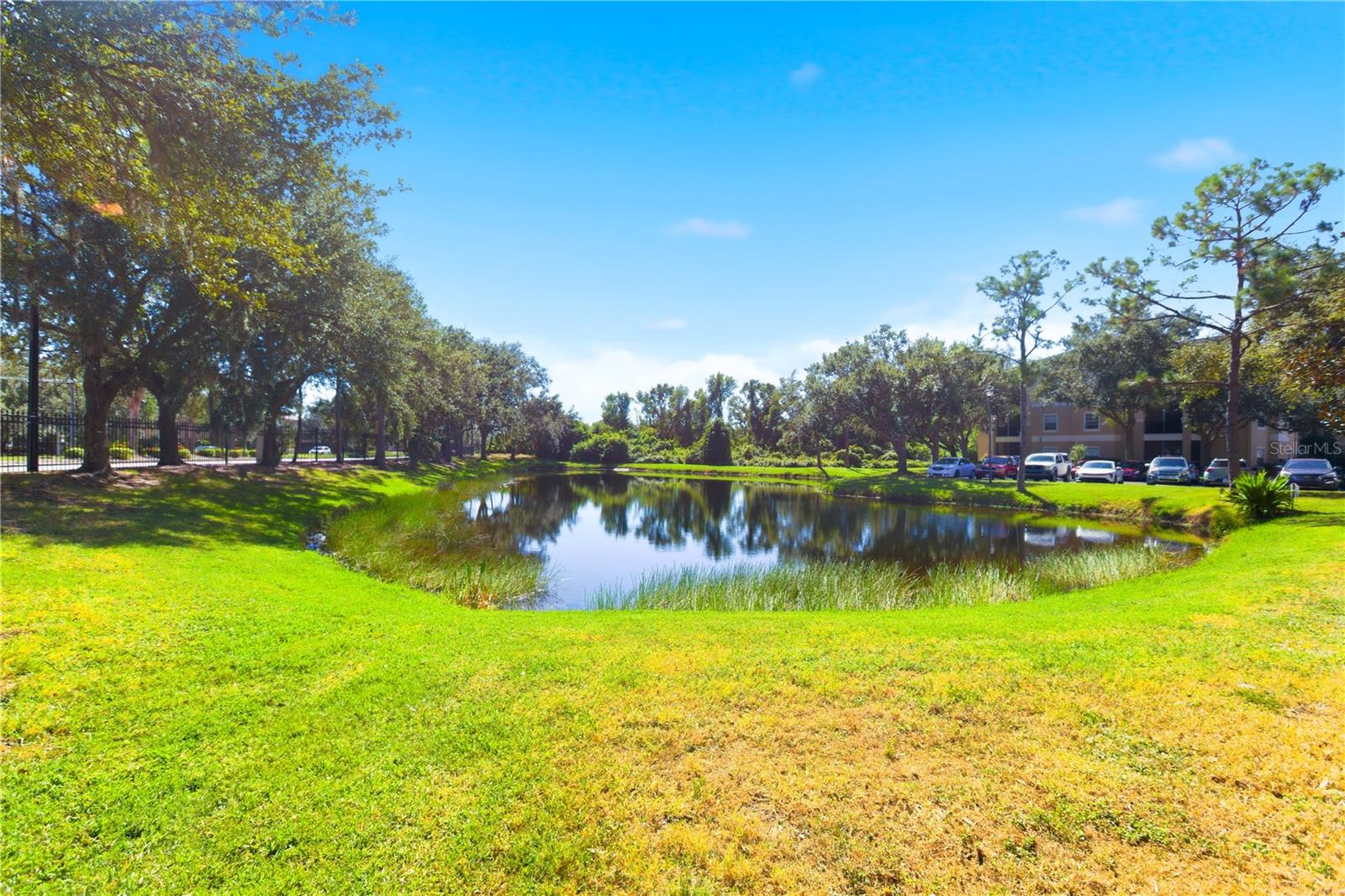 SERENADE ON PALMER RANCH - Residential