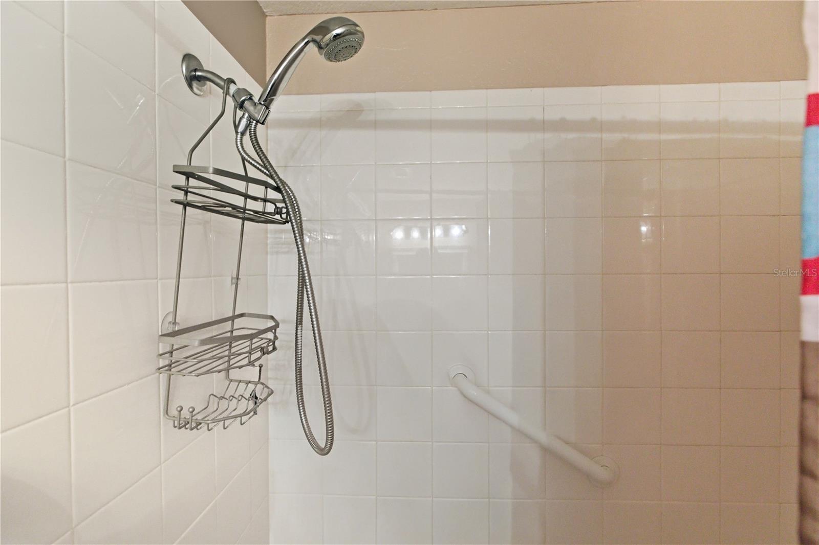 SERENADE ON PALMER RANCH - Residential