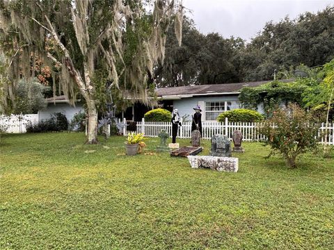3820 E ORANGE DRIVE HERNANDO FL 34442