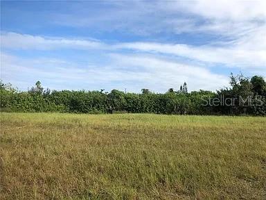 Great opportunity for investors or future residents! Two side-by-side canal-front lots for sale at 335 and 339 NE 19th Terrace, Cape Coral. These freshwater lots feature a seawall and direct boat access—perfect for fishing, kayaking, or relaxing by the water. Ideal for building your dream home or future development. The property includes fruit trees such as longan, sapote, and 10 palm trees. Quiet neighborhood near schools, shopping, main roads, and just 15 minutes from the beach. Buyer to verify all property details.