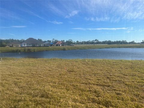 A home in PUNTA GORDA