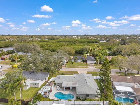 A home in CLEARWATER