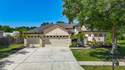 Photo of 16923 Melissa Ann Drive, Lutz, FL 33558 (MLS # O6408945)