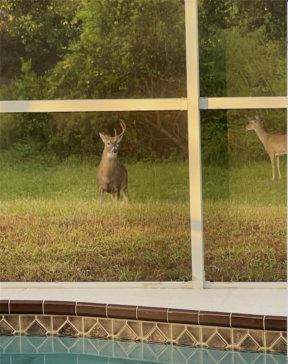 MAGNOLIA ESTATES - Residential