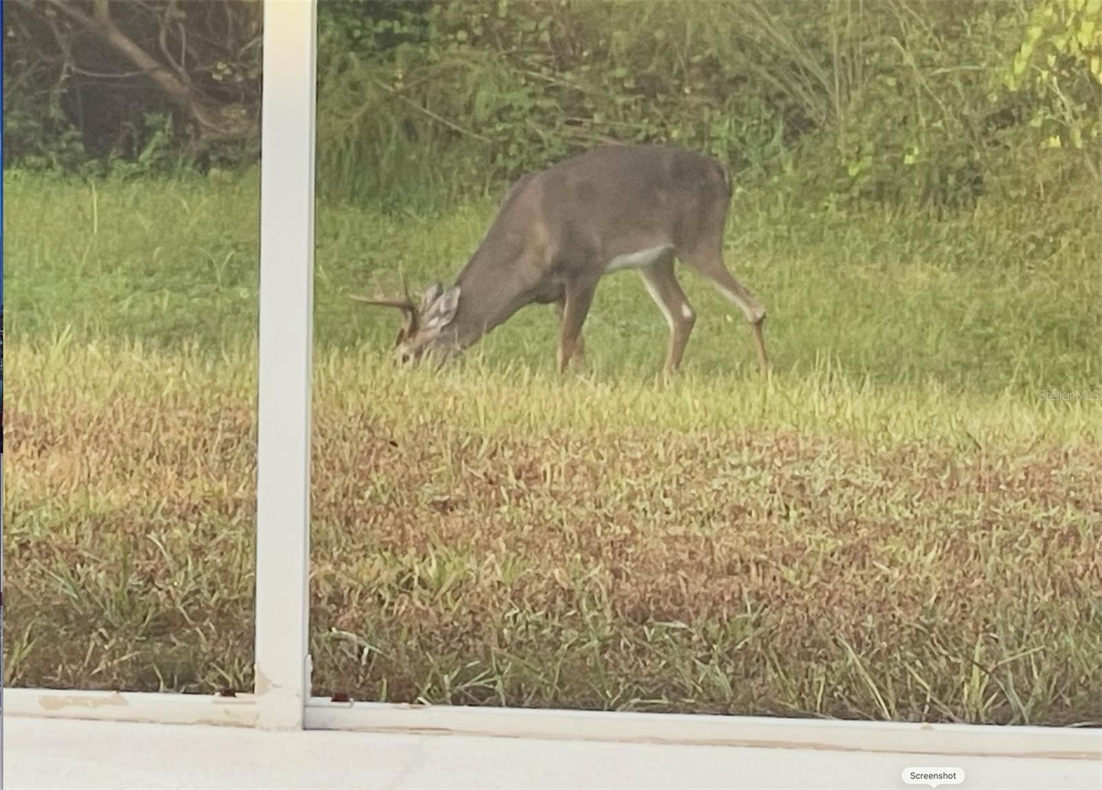 MAGNOLIA ESTATES - Residential