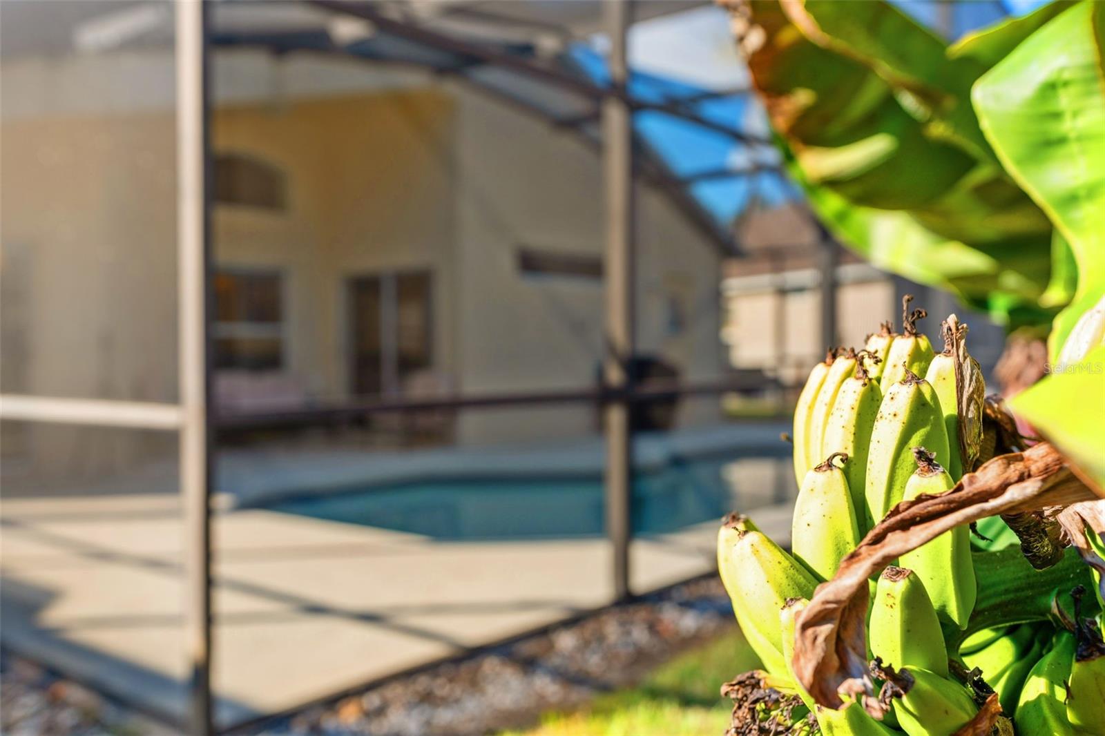 LAKE BERKLEY RESORT - Residential