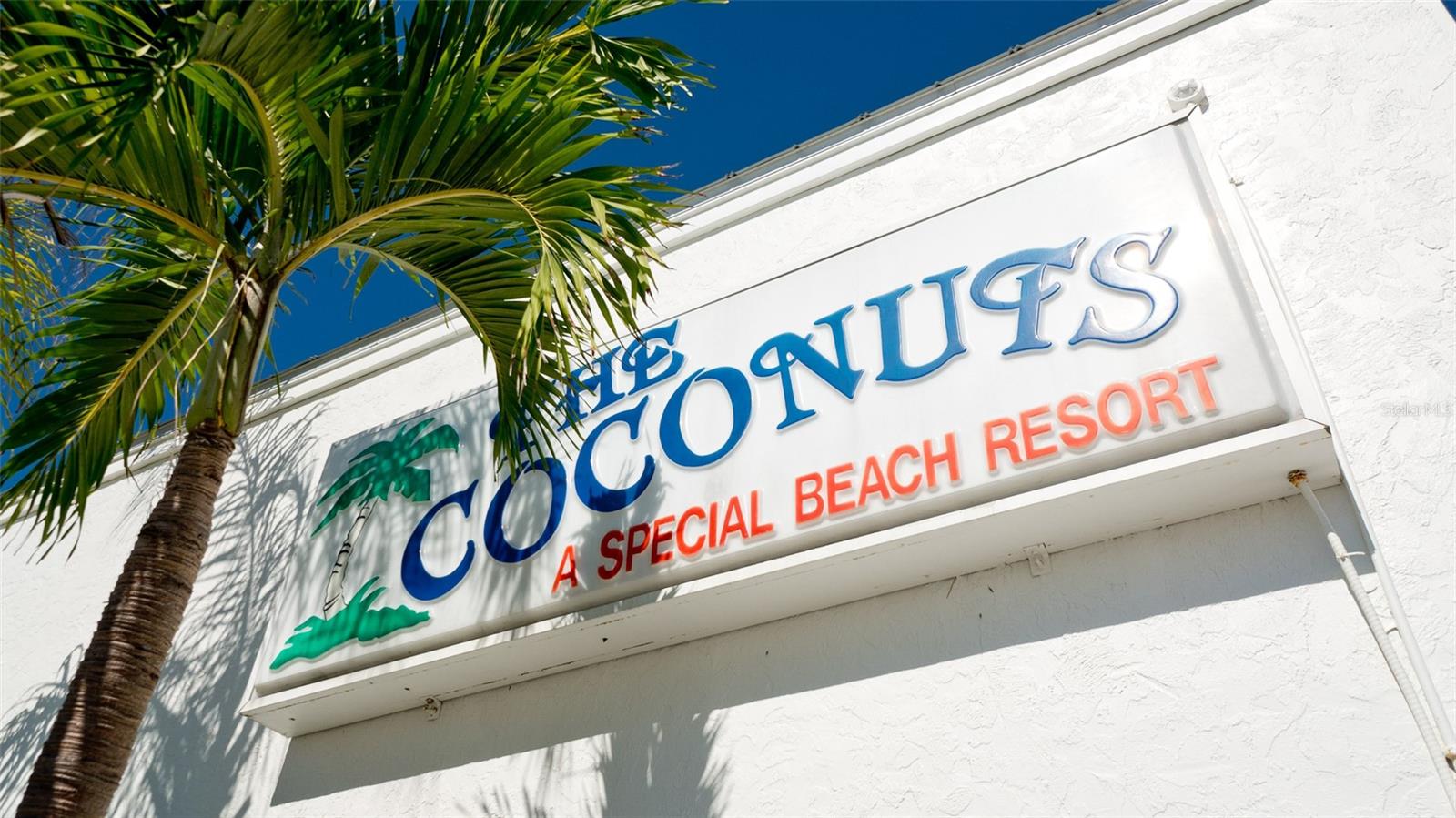 COCONUTS - Residential