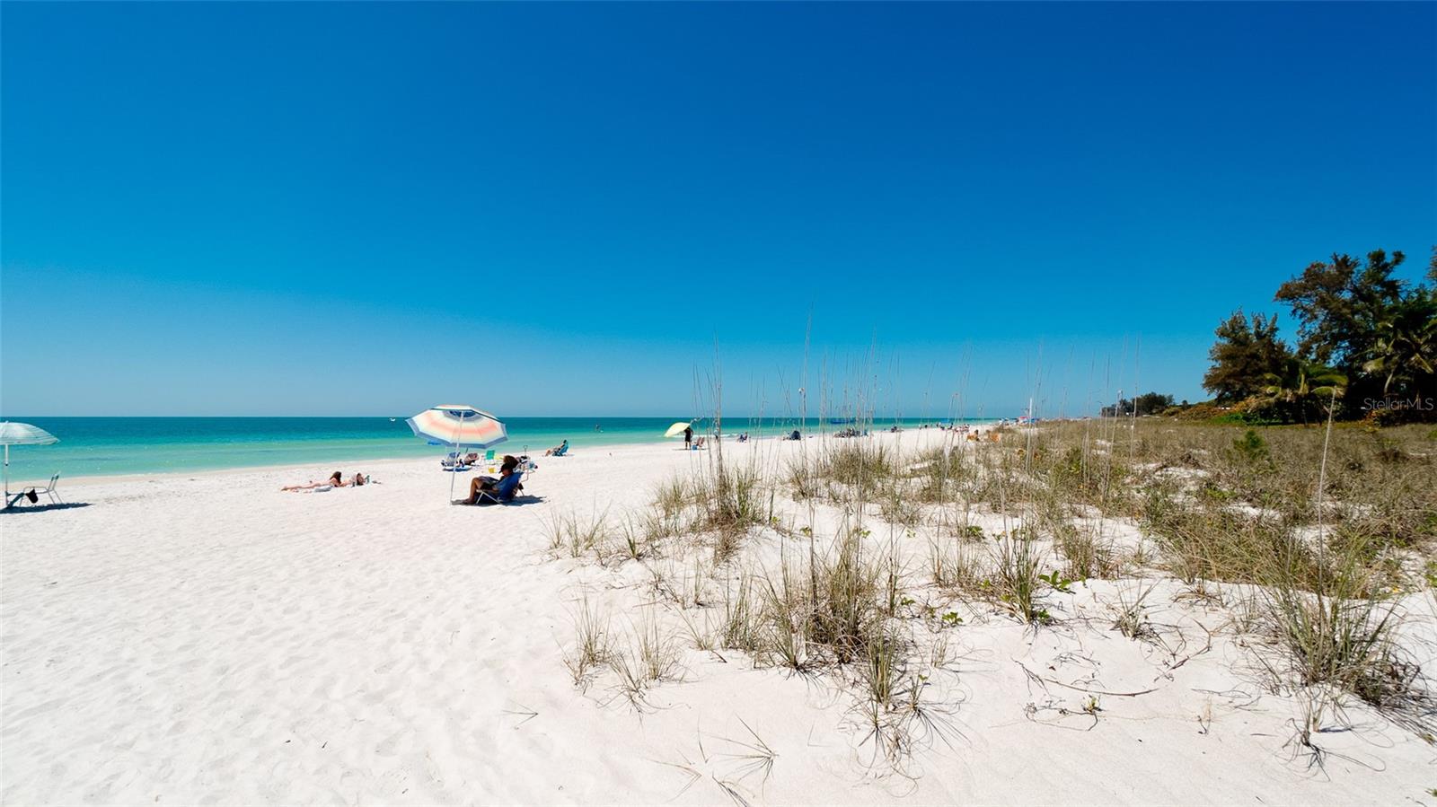 COCONUTS - Residential