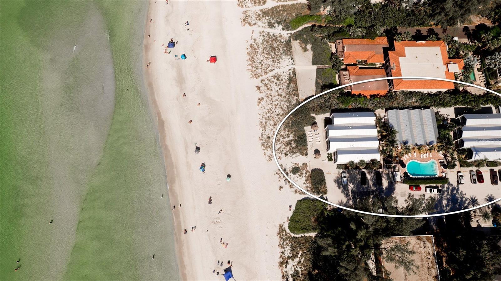 COCONUTS - Residential