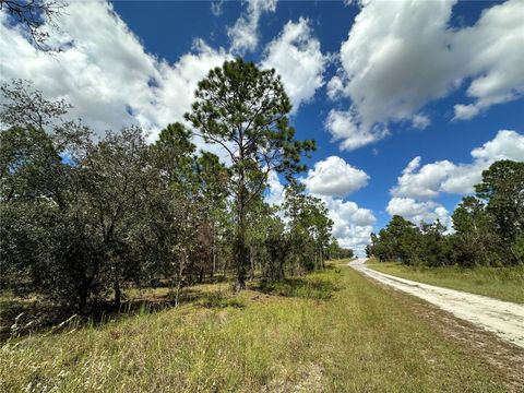 TBD SE 134TH COURT DUNNELLON FL 34431