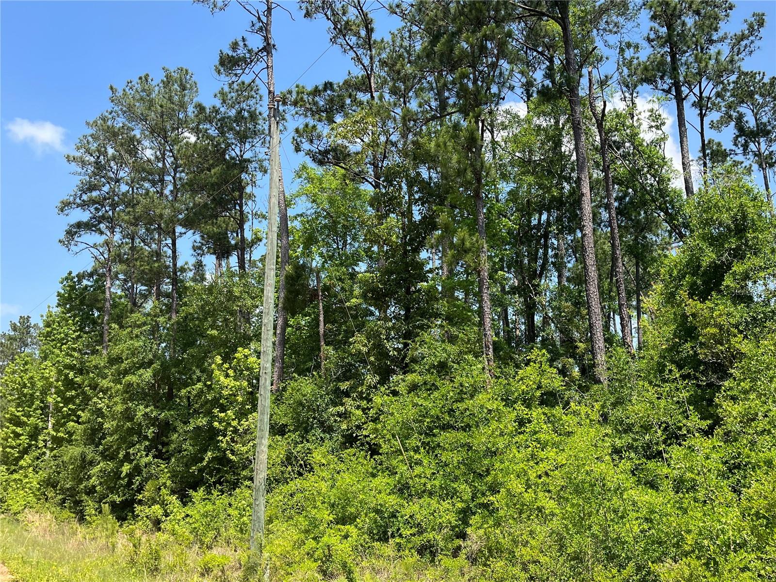 COMPASS LAKE HILLS - Land