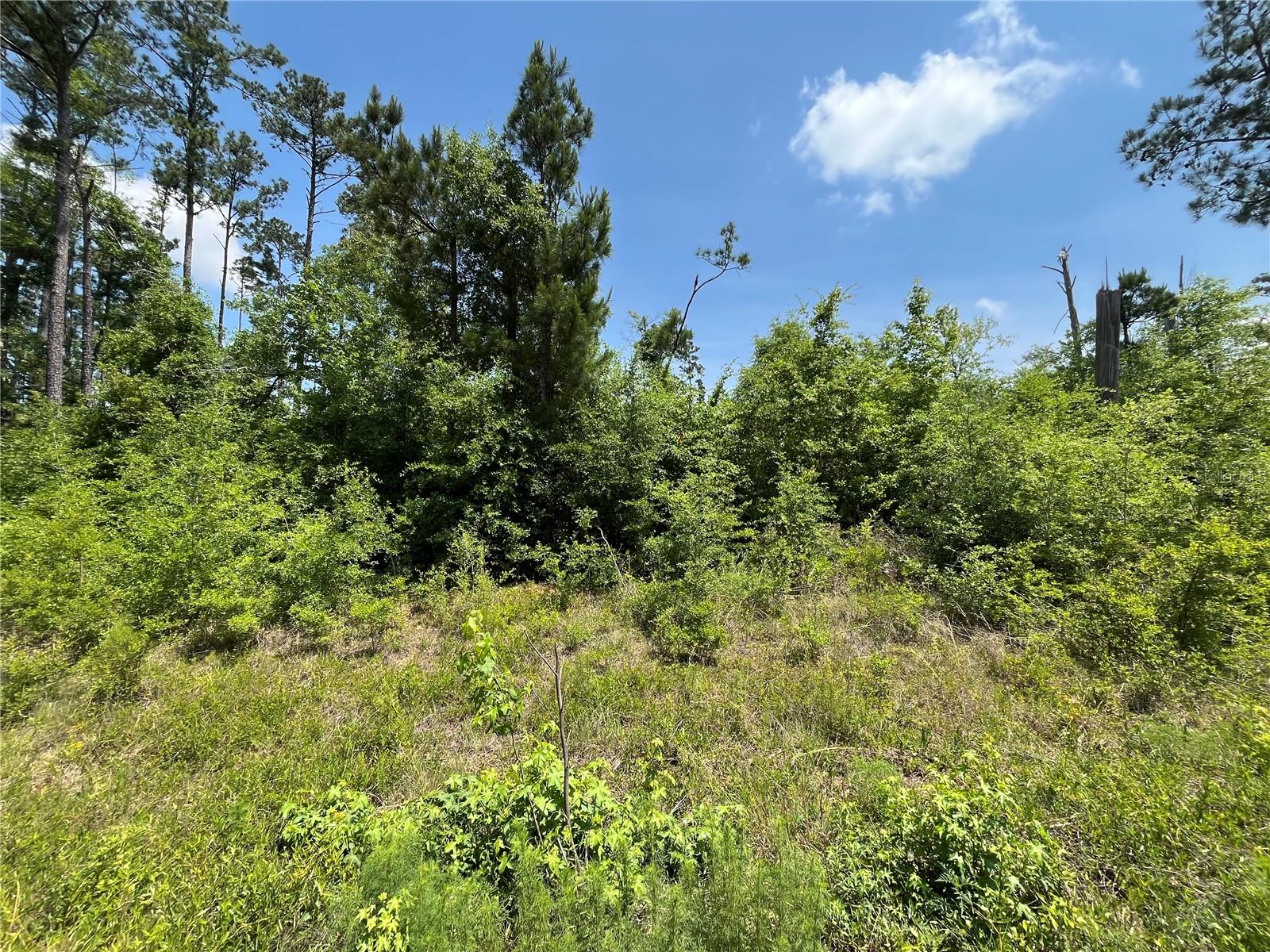 Owner Financing Available. Don't miss out on this wooded 1.05- acre residential lot in Compass Lake in the Hills just outside of Marianna, FL. This lot would be the perfect site for your dream home. It is close to beautiful Compass Lake which is a haven for boating, skiing, fishing, and swimming. Compass Lake in the Hills also has a club house with restaurant, tennis courts, swimming pool, picnic areas, business center, etc. This lot is located in close proximity to Hwy 231 and is about 45 to Panama City and about an hour to the Gulf Coast and its beautiful beaches! This is great opportunity to invest in the growing panhandle of Northwest Florida. FOR DIRECTION PURPOSES 3161 CLINTON CT LOCATED DIRECTLY BEHIND THE LOT