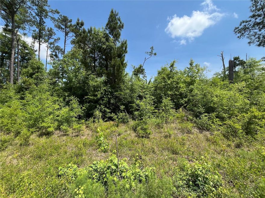 Owner Financing Available. Don't miss out on this wooded 1.05- acre residential lot in Compass Lake in the Hills just outside of Marianna, FL. Mobile or manufactured homes now permitted with approval. This lot would be the perfect site for your dream home. It is close to beautiful Compass Lake which is a haven for boating, skiing, fishing, and swimming. Compass Lake in the Hills also has a club house with restaurant, tennis courts, swimming pool, picnic areas, business center, etc. This lot is located in close proximity to Hwy 231 and is about 45 to Panama City and about an hour to the Gulf Coast and its beautiful beaches! This is great opportunity to invest in the growing panhandle of Northwest Florida. FOR DIRECTION PURPOSES 3161 CLINTON CT LOCATED DIRECTLY BEHIND THE LOT