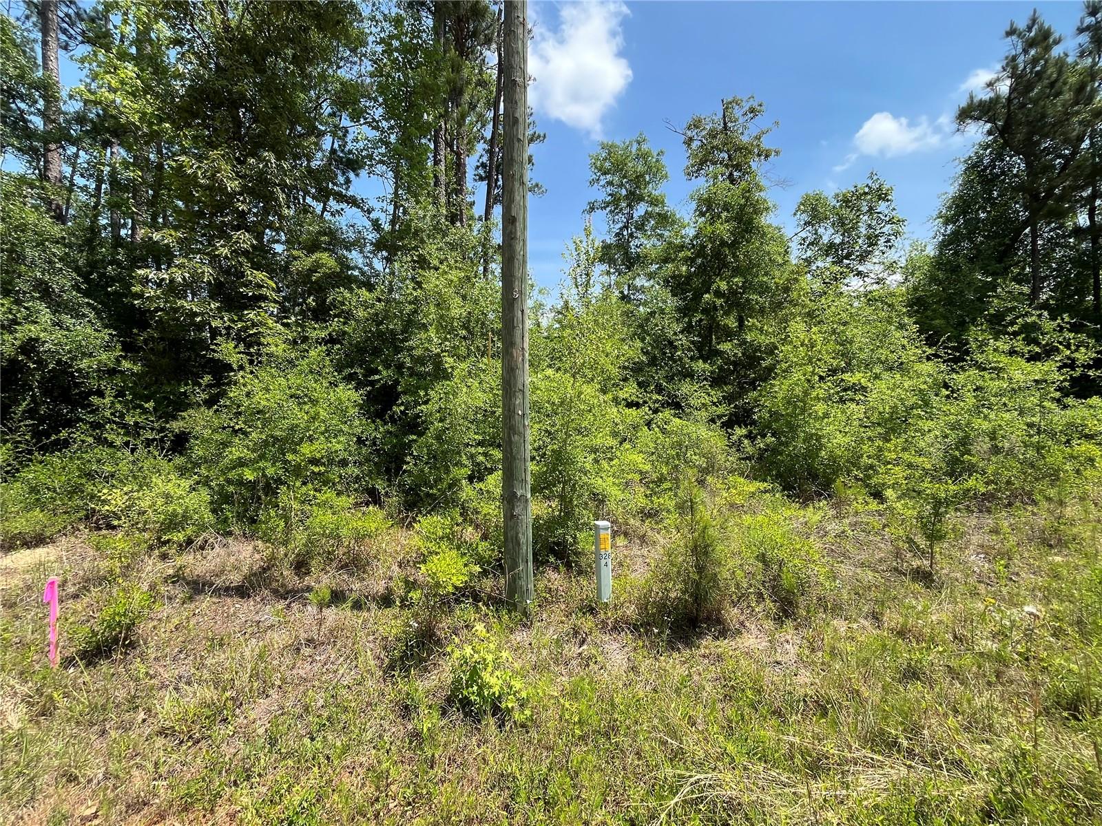 COMPASS LAKE HILLS - Land