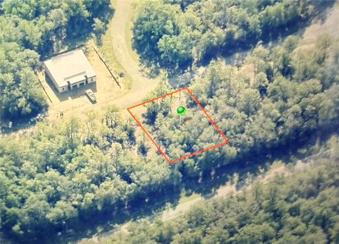 11114 N VESTA POINT DUNNELLON FL 34434