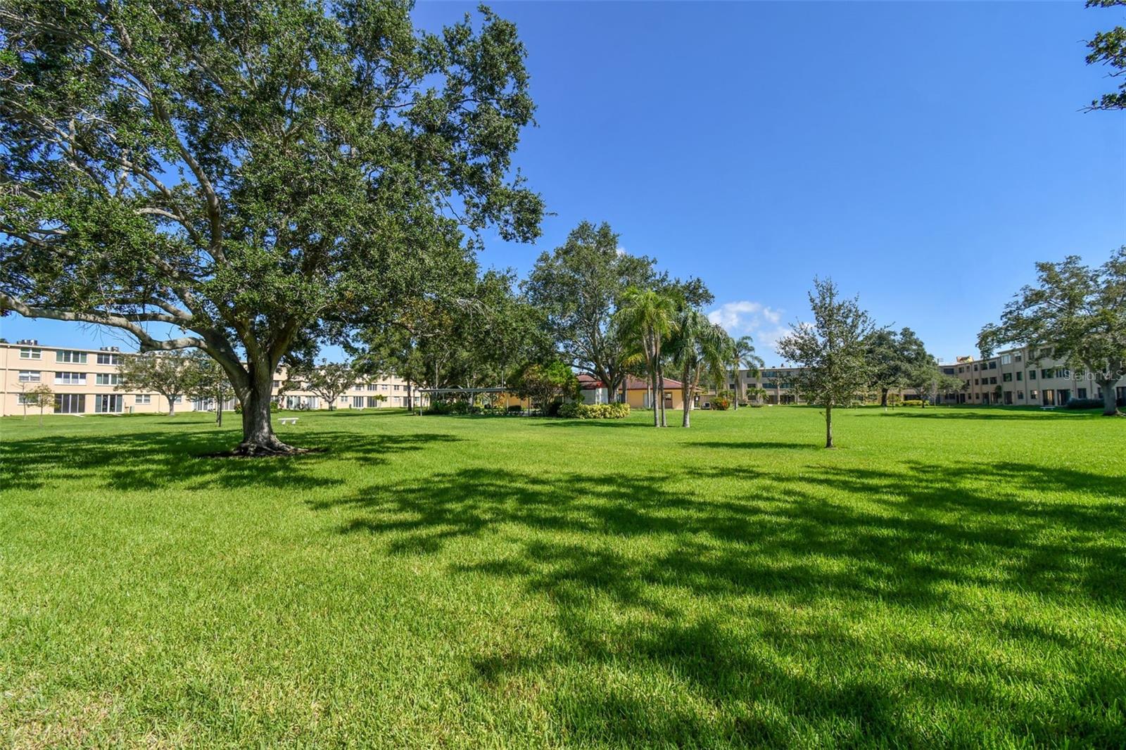 WINSTON PARK NORTHEAST - Residential