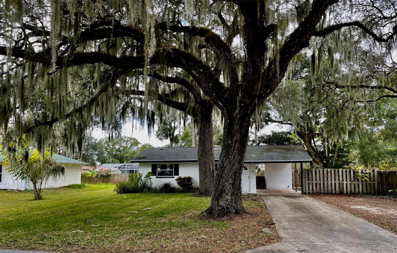 Florida Shores 01 - Residential