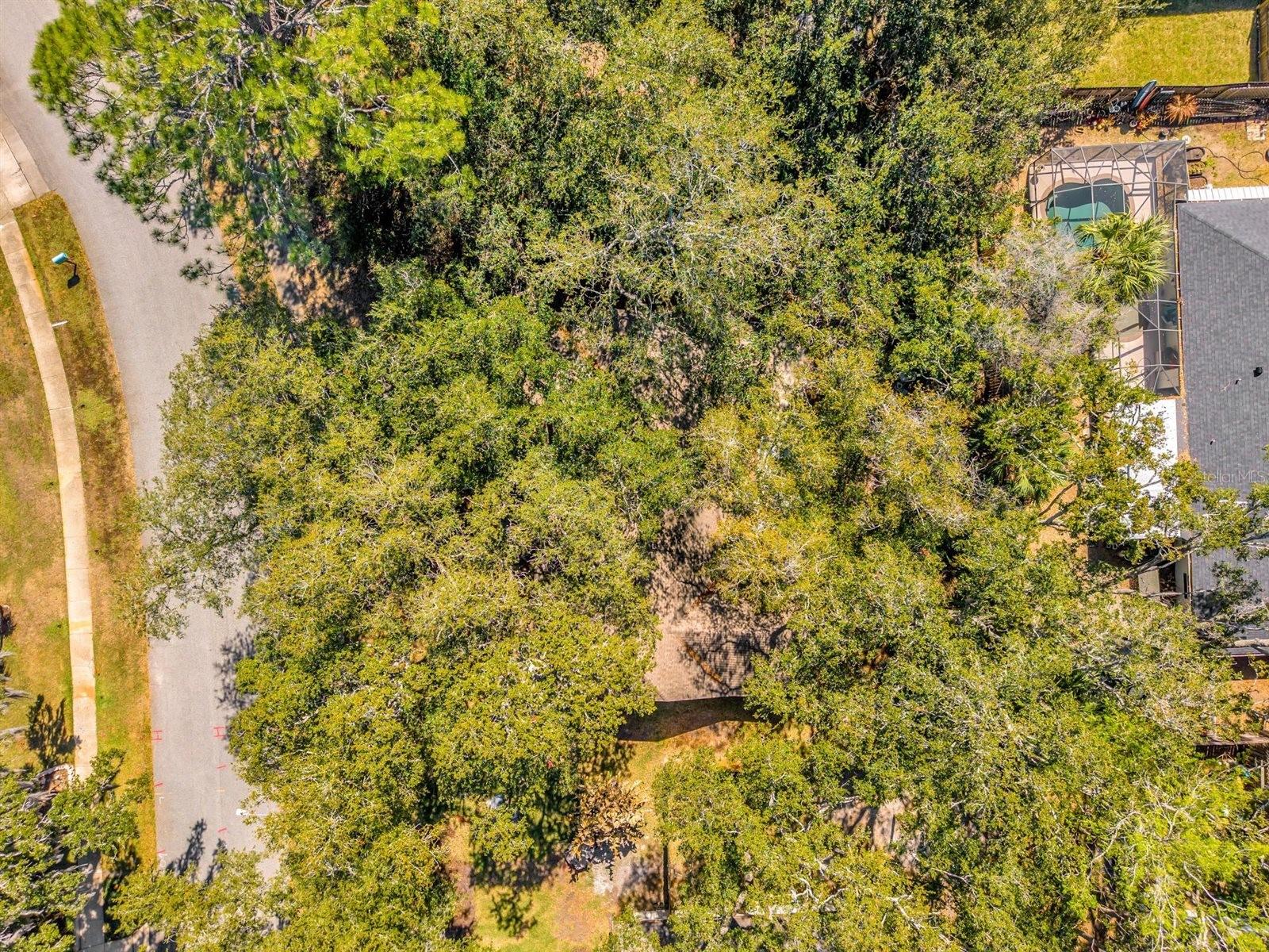 PALMS DEL MAR - Residential