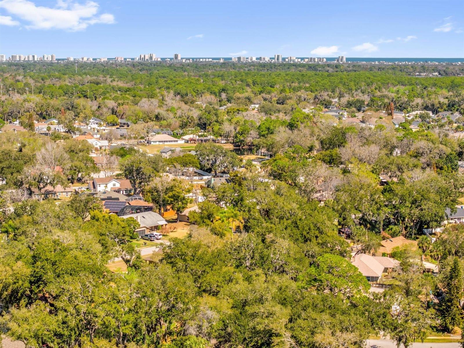 PALMS DEL MAR - Residential