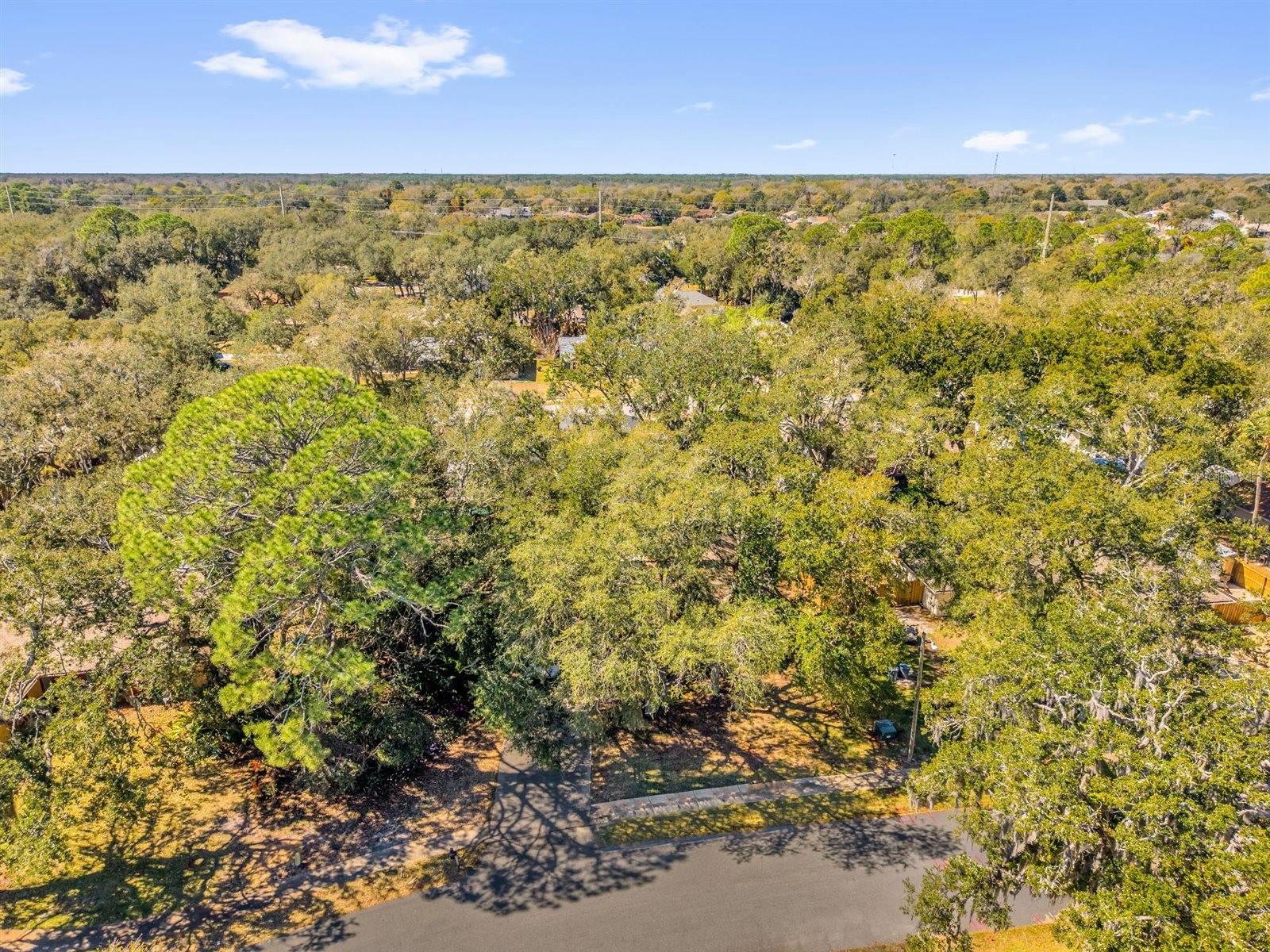 PALMS DEL MAR - Residential