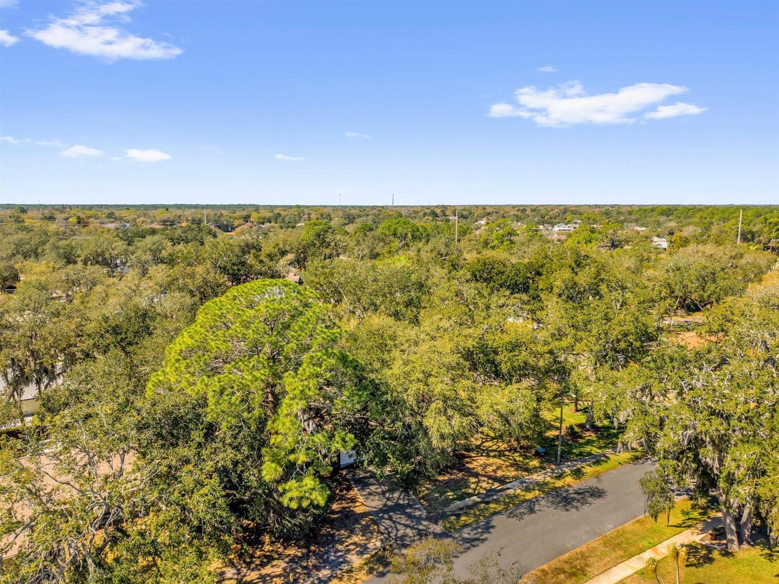 PALMS DEL MAR - Residential