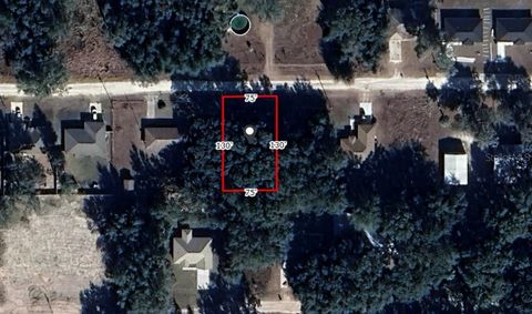 SE 141ST PL SUMMERFIELD FL 34491