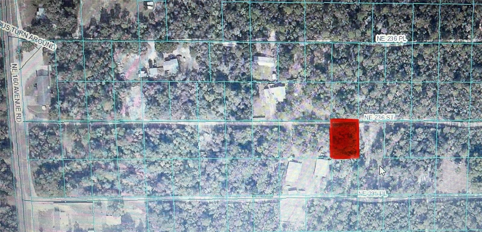 NATIONAL OCALA FOREST CAMPSITES - Land