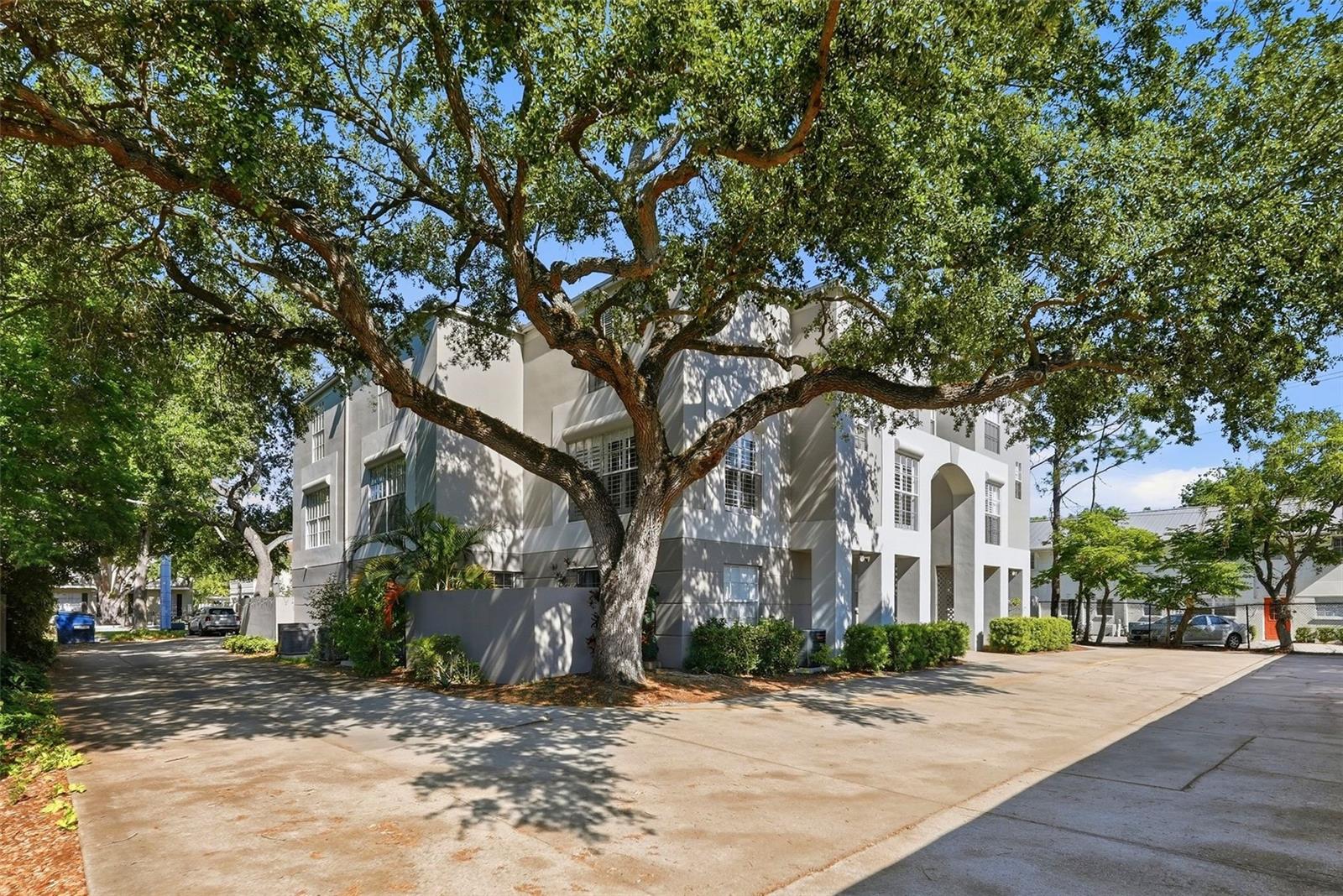 GLEN PARK CONDO - Residential