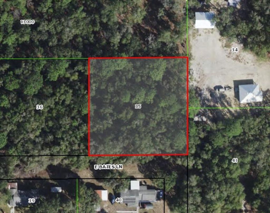 Photo of 10641 E Bates Lane, Inverness, FL 34450 (MLS # O6360824)