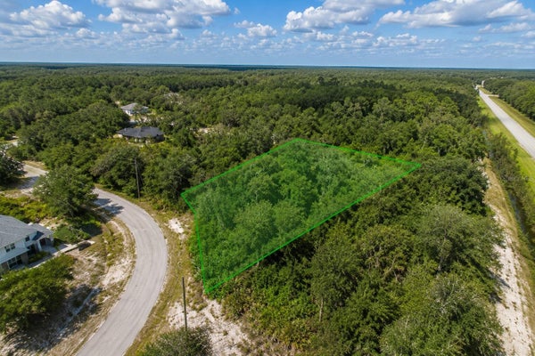 1334 TALLAHASSEE CT, POINCIANA, FL 34759 - Image db4da0a12197ba89d8daea8e3d89496b/1068456979