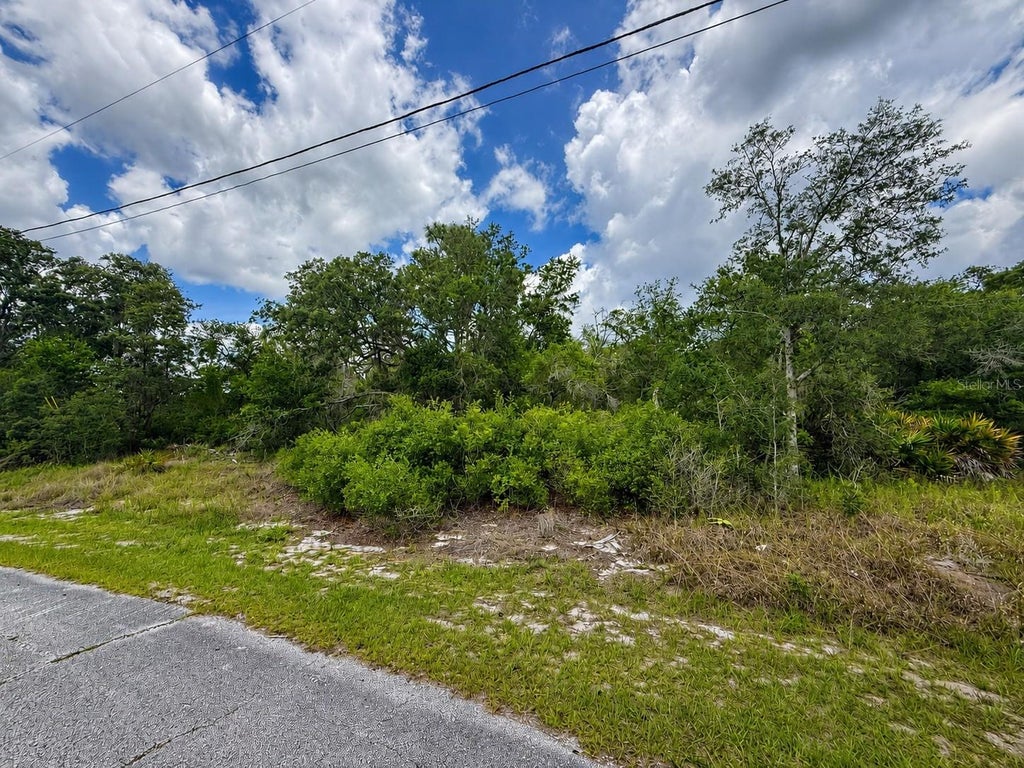 Photo of 1334 Tallahassee Court, Poinciana, FL 34759 (MLS # S5156608)