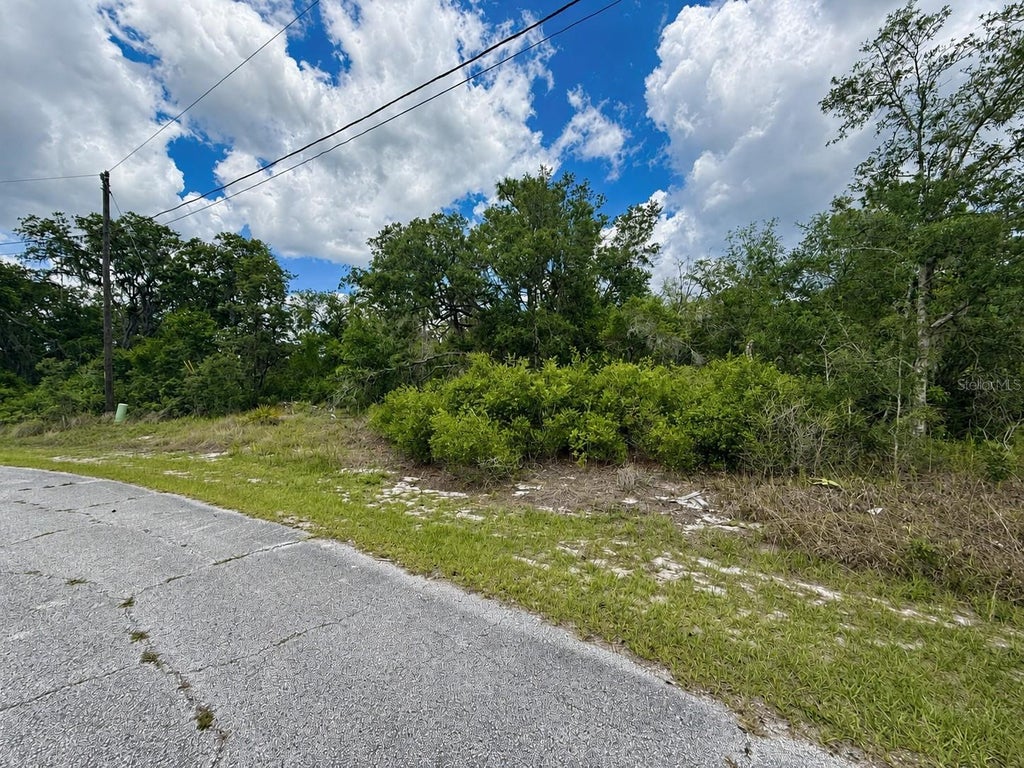 Photo of 1334 Tallahassee Court, Poinciana, FL 34759 (MLS # S5156608)