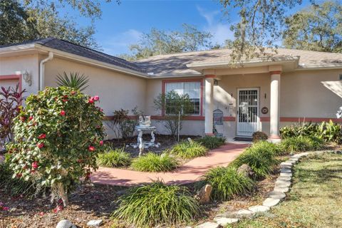 Photo of 9200 E Windwood Loop, Inverness, FL 34450 (MLS # OM717452)