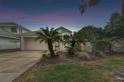 A home in TAMPA