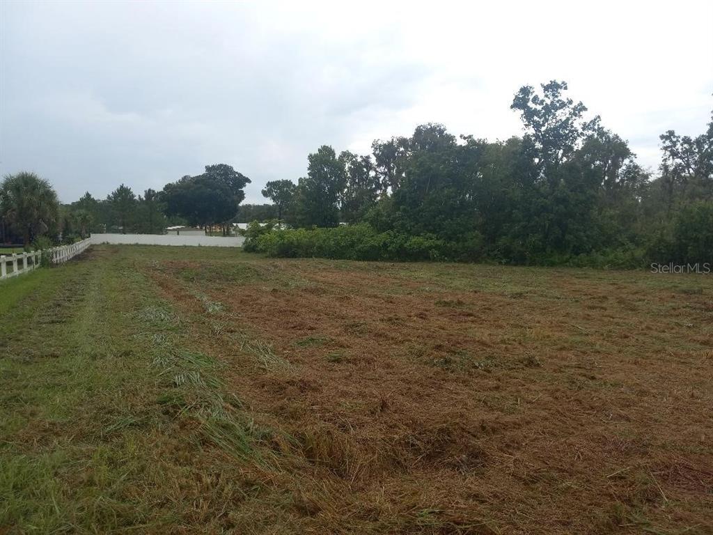 This is an estate-sized lot totaling 6.7 acres - approximately 1.5 acres is buildable (rest lowlands) allowing you to build any size house (minimum 2,000) with extra garage or storage building. You cannot subdivide, have farm animals (horses are allowed - must do due diligence), cannot use as farm, no mobiles, can't raise bees (yes, I was asked that), etc. Lot is in area of high-end homes - house adjacent is over 4,000 square feet. Partially fenced, can fence remaining acreage if wanted to. Walking distance to Keel and Curly winery and brewery. Seems like you are in the country, but 2 miles from I-4 and less than 30 minutes to downtown Tampa or Lakeland. Will require well and septic - electric and cable on site.