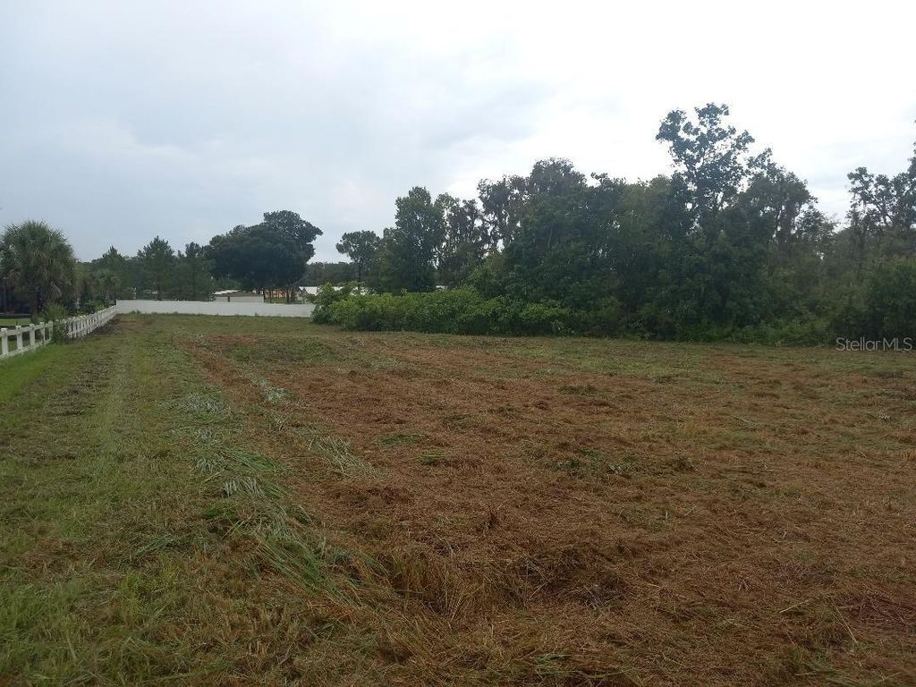 Photo of 3408 N Forbes Road, Plant City, FL 33565 (MLS # O5962592)