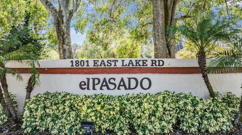 A home in PALM HARBOR