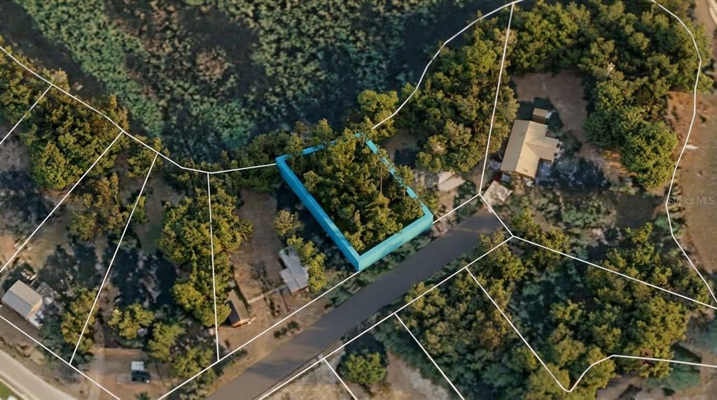 Photo of Morning View Drive, Paisley, FL 32767 (MLS # TB8476599)