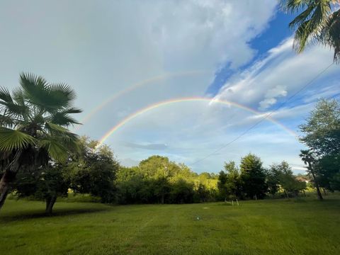 Tiny photo for 14520 Lost Lake Road, Clermont, FL 34711 (MLS # O6345746)