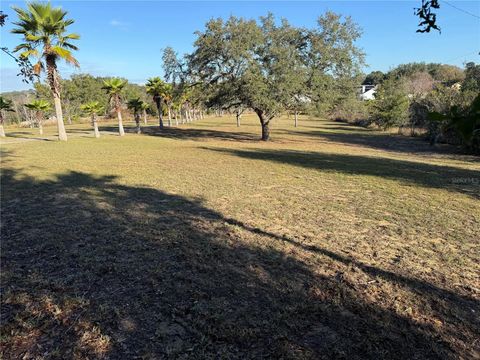 Tiny photo for 14520 Lost Lake Road, Clermont, FL 34711 (MLS # O6345746)