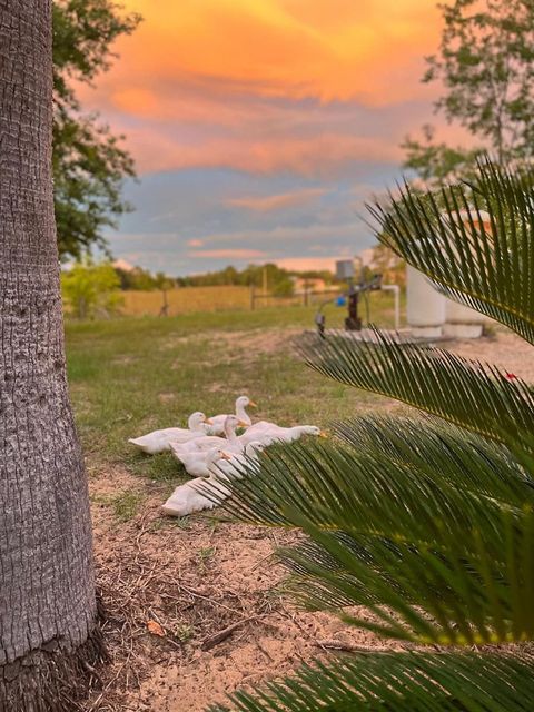 Tiny photo for 14520 Lost Lake Road, Clermont, FL 34711 (MLS # O6345746)