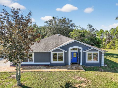 Photo of 14520 Lost Lake Road, Clermont, FL 34711 (MLS # O6345746)
