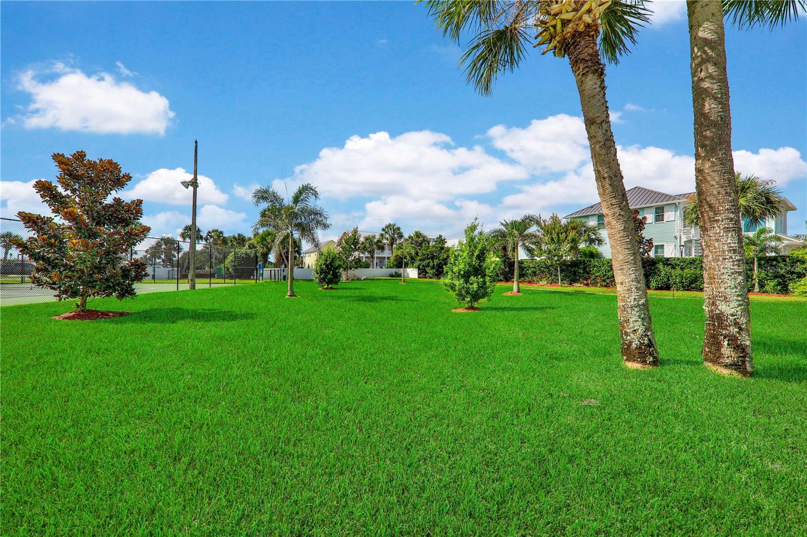 DIAMOND HEAD POINT CONDO - Residential