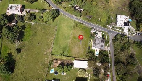 PR-9929 BARRIO LIRIOS 2 JUNCOS  00777