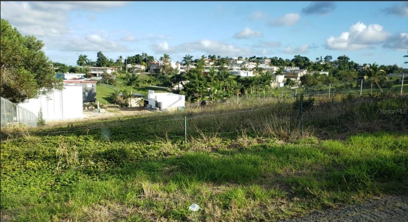 PR-9929 BARRIO LIRIOS 2