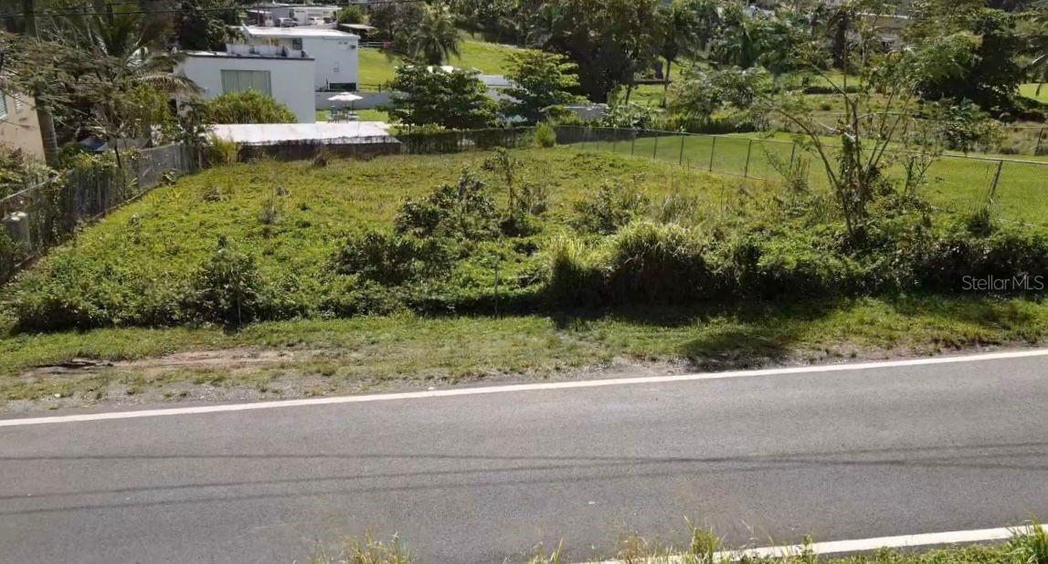 PR-9929 BARRIO LIRIOS 2