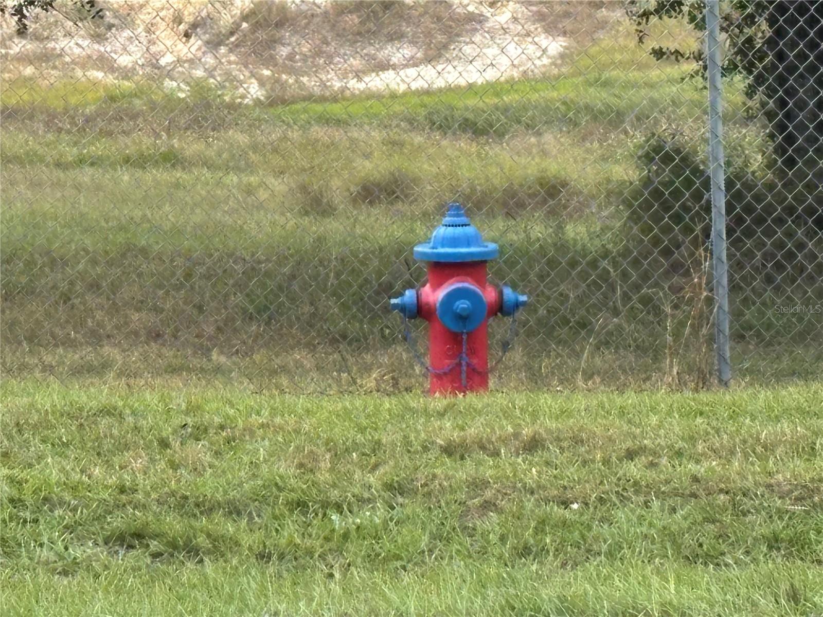 3427 GOLDEN GEM ROAD