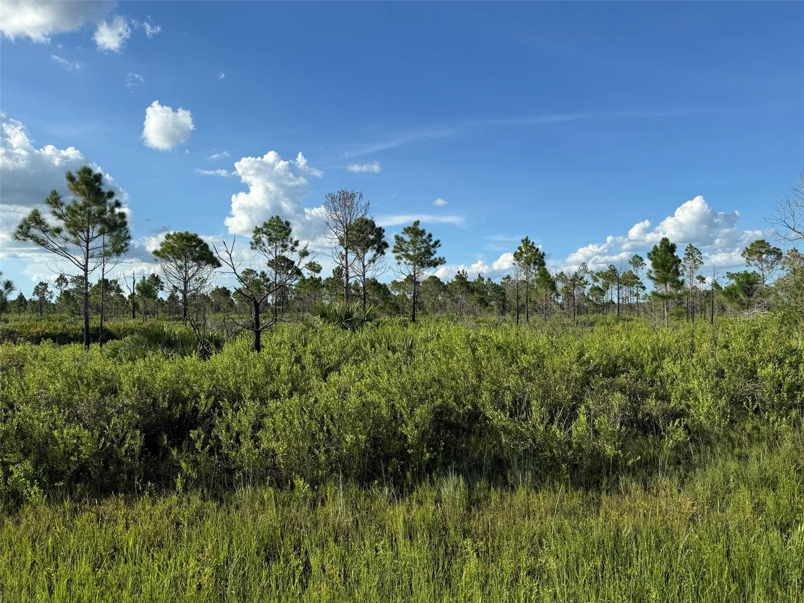 Owner Financing available. Discover the freedom of country living on this 1.50-acre parcel in Okeechobee! Zoned Residential Agricultural, this versatile lot welcomes mobile homes, animals, and outdoor toys. Whether you're dreaming of a mini farm, weekend retreat, or full-time homestead, the space and flexibility are here. Build now or hold for future investment—no HOA and minimal restrictions. Start a garden, plant fruit trees, or simply enjoy the peace and privacy of rural life. Located on a quiet road with easy access to town amenities and Lake Okeechobee recreation. Bring your vision and live the lifestyle you’ve been waiting for!