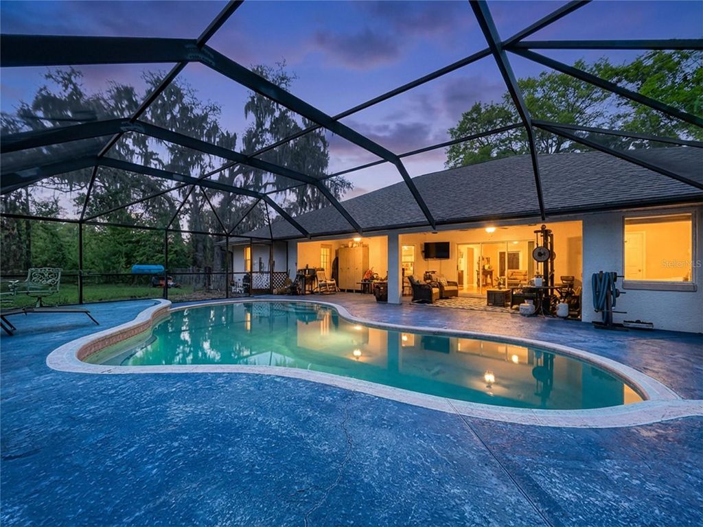 Photo of 8402 Southwood Pines Street, Lithia, FL 33547 (MLS # B4902229)