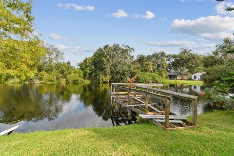 A home in MOUNT DORA